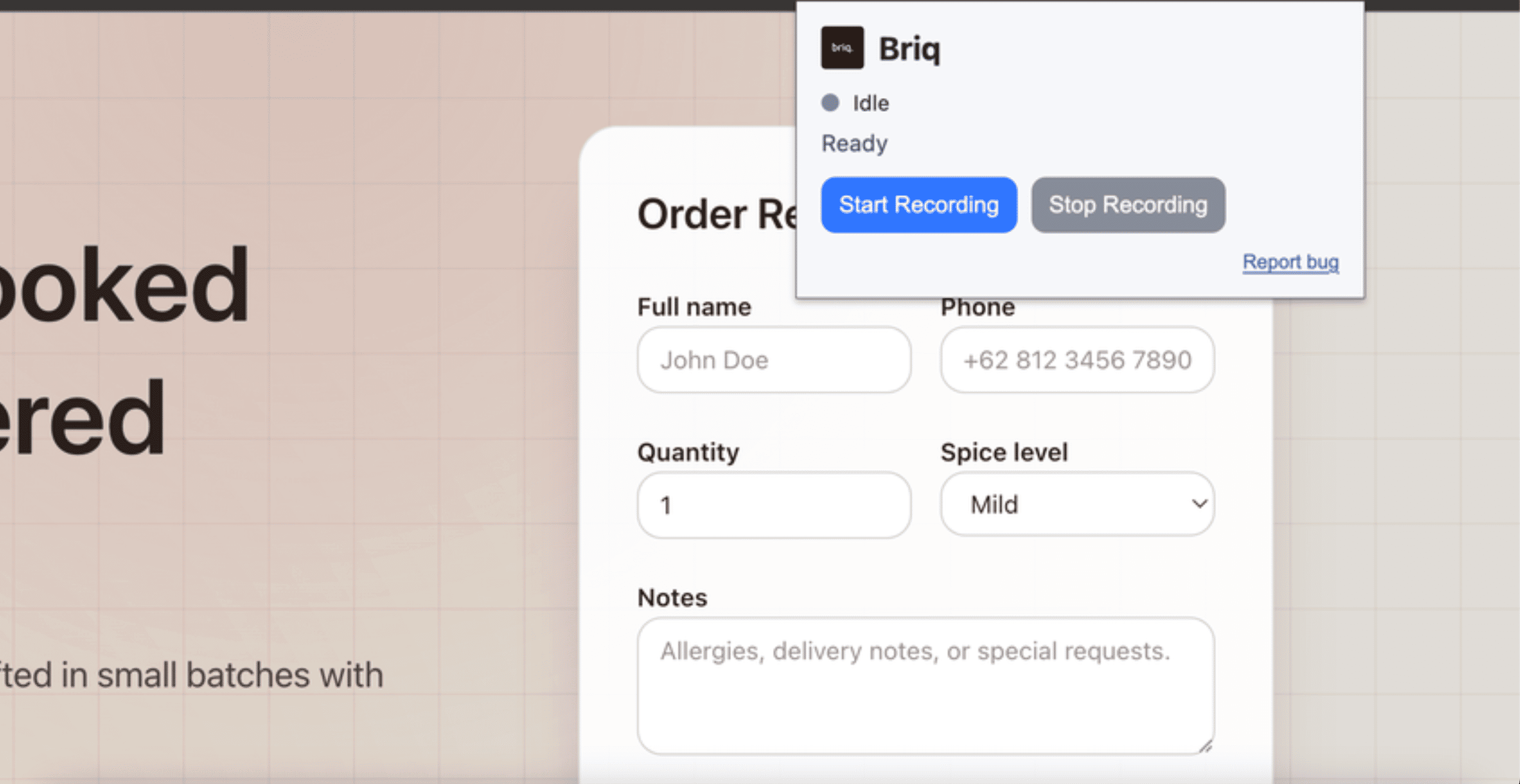 Briq — Record the Bug Once